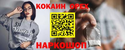 стаф Дубна