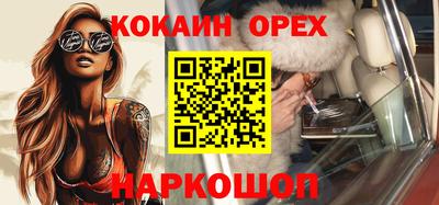 стаф Дубна