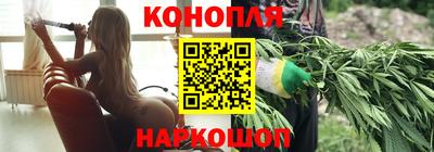 гашик Донецк