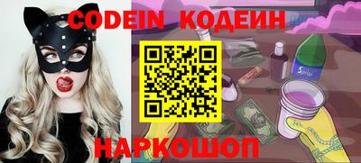 стаф Дубна